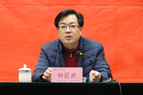 20170111114124621.jpg 柳.jpg