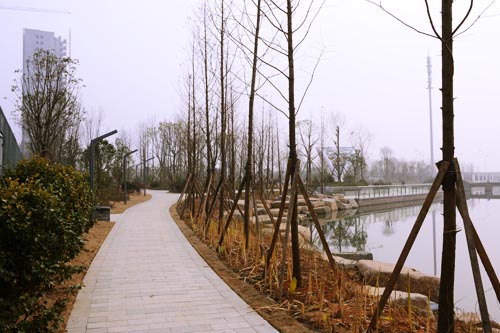 20170103131553807.jpg 3.jpg